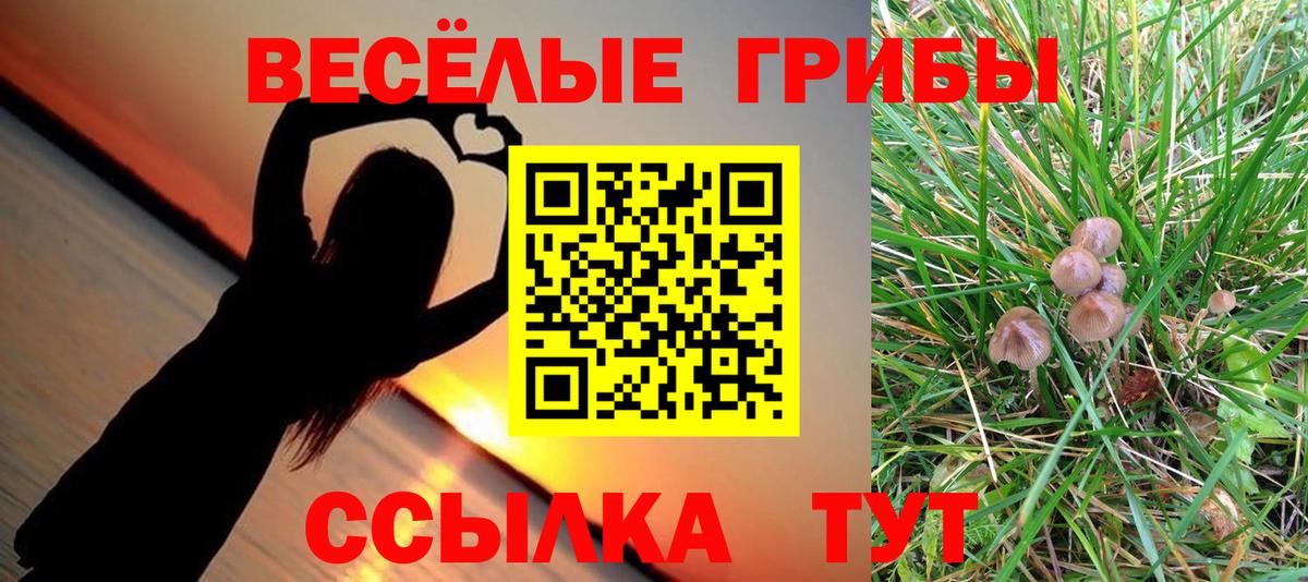 Красногорск  Псилоцибиновые грибы Psilocybine cubensis  Галлюциногенные грибы ЛСД  Вход с VPN 